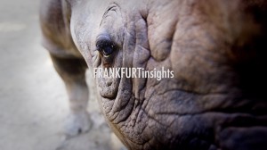 FRANKFURTinsights 07 Zoo06