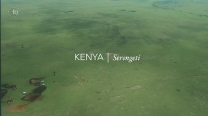 Kenya_Serengeti