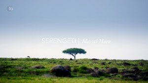 Serengeti_Savanna
