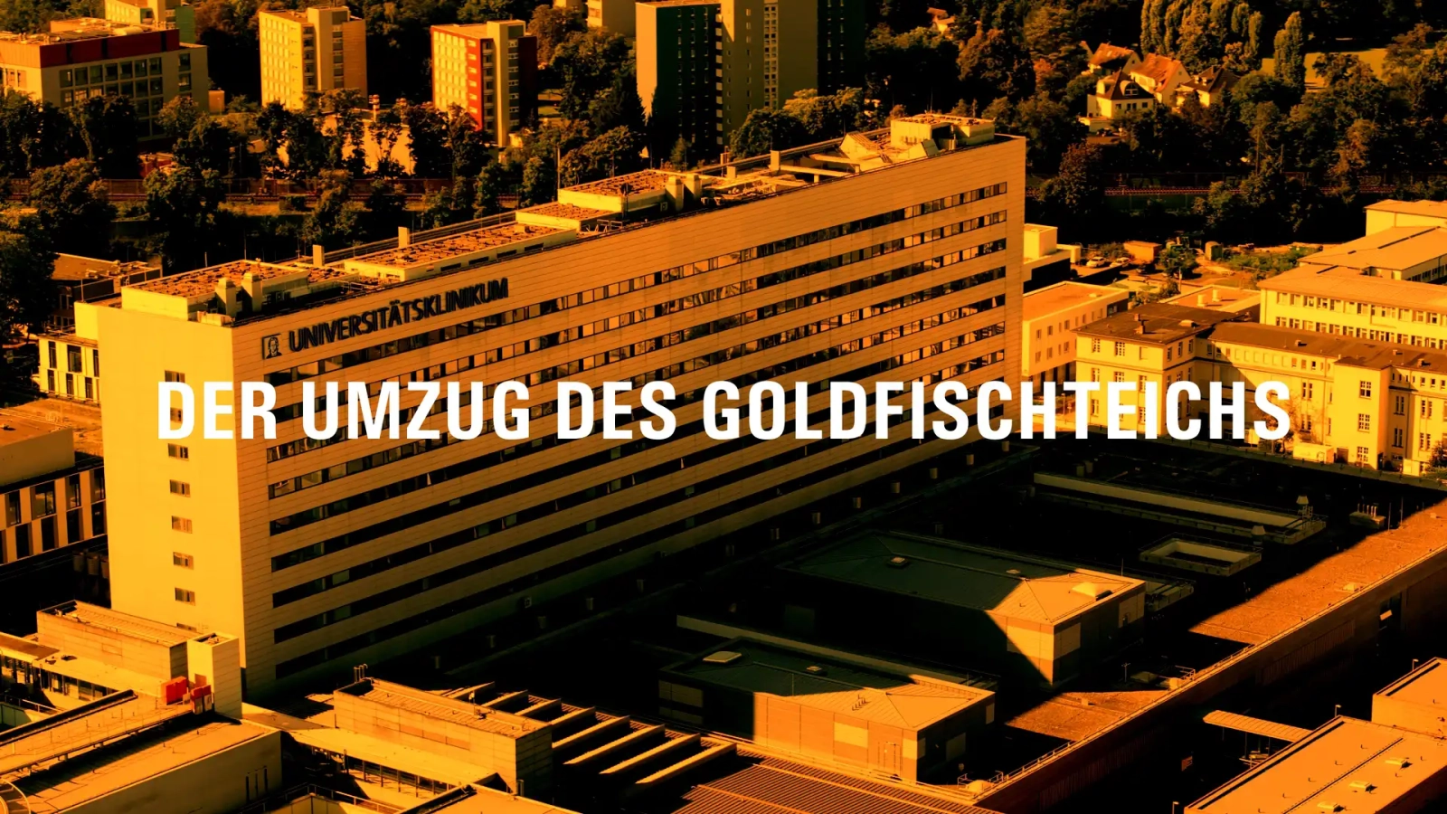 DER GOLDFISCHTEICH